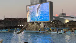 名古屋港水族館に投稿された画像(2026/7/25)