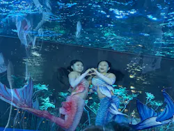 サンシャイン水族館に投稿された画像(2026/7/25)
