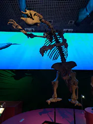 国立科学博物館に投稿された画像(2026/7/25)