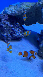 アクアワールド茨城県大洗水族館に投稿された画像(2026/7/25)