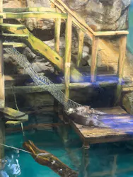 アクアワールド茨城県大洗水族館に投稿された画像(2026/7/25)