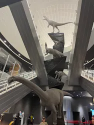 福井県立恐竜博物館に投稿された画像(2026/7/26)