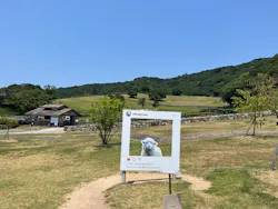 淡路ファームパーク イングランドの丘に投稿された画像(2026/7/26)