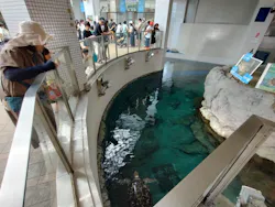名古屋港水族館に投稿された画像(2026/7/26)