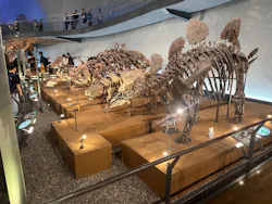 福井県立恐竜博物館に投稿された画像(2026/7/26)