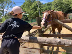 しろとり動物園に投稿された画像(2026/7/26)