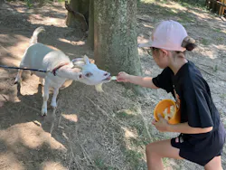 しろとり動物園に投稿された画像(2026/7/26)