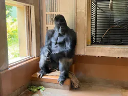 名古屋市東山動植物園に投稿された画像(2026/7/26)