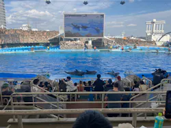 名古屋港水族館に投稿された画像(2026/7/26)