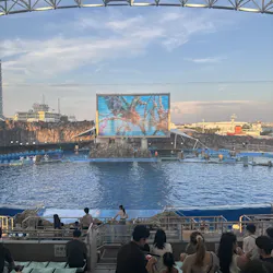 名古屋港水族館に投稿された画像(2026/7/26)
