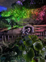 サンシャイン水族館に投稿された画像(2026/7/26)