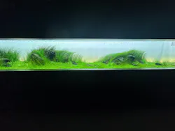AOAO SAPPOROに投稿された画像(2026/7/26)
