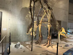 国立科学博物館に投稿された画像(2026/7/27)