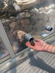 大分マリーンパレス水族館 「うみたまご」に投稿された画像(2026/7/27)