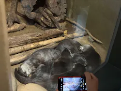 世界淡水魚園水族館 アクア・トトぎふに投稿された画像(2026/7/27)