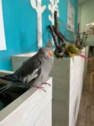 Moff animal cafe iias つくば店に投稿された画像(2026/7/27)