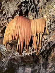 CAVE OKINAWAに投稿された画像(2026/7/27)