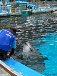 名古屋港水族館に投稿された画像(2026/7/27)