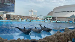 名古屋港水族館に投稿された画像(2026/7/27)