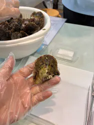 名古屋港水族館に投稿された画像(2026/7/27)