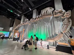 福井県立恐竜博物館に投稿された画像(2026/7/27)