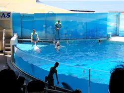 新江ノ島水族館に投稿された画像(2026/7/27)