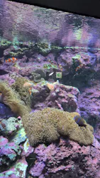 サンシャイン水族館に投稿された画像(2026/7/27)