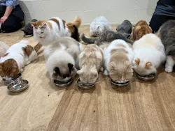 Cat Café MOFF つかしん店に投稿された画像(2026/7/28)