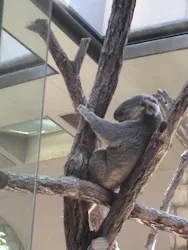 名古屋市東山動植物園に投稿された画像(2026/7/29)