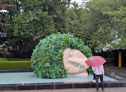 彫刻の森美術館に投稿された画像(2026/7/29)