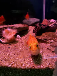 名古屋港水族館に投稿された画像(2026/7/29)