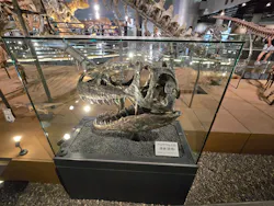福井県立恐竜博物館に投稿された画像(2026/7/30)