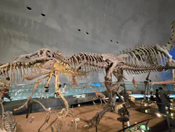 福井県立恐竜博物館に投稿された画像(2026/7/30)