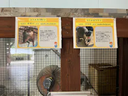 東武動物公園に投稿された画像(2026/7/30)