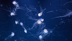 サンシャイン水族館に投稿された画像(2026/7/30)