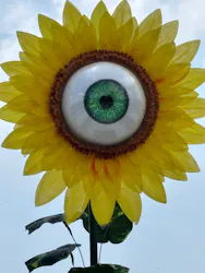 自然体感展望台 六甲枝垂れに投稿された画像(2026/7/30)