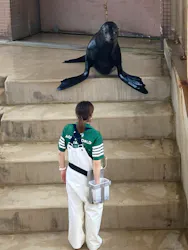 アクアワールド茨城県大洗水族館に投稿された画像(2026/7/30)