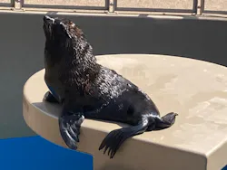 アクアワールド茨城県大洗水族館に投稿された画像(2026/7/30)