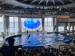 アクアワールド茨城県大洗水族館に投稿された画像(2026/7/30)