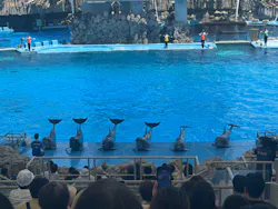 名古屋港水族館に投稿された画像(2026/7/30)