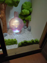 ちいかわパークに投稿された画像(2026/7/31)