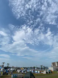 蓮沼ウォーターガーデンに投稿された画像(2026/7/31)