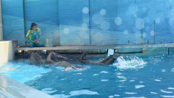 新江ノ島水族館に投稿された画像(2026/7/31)