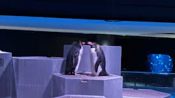 AOAO SAPPOROに投稿された画像(2026/7/31)