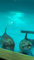 アクアワールド茨城県大洗水族館に投稿された画像(2026/8/1)