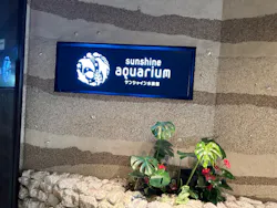 サンシャイン水族館に投稿された画像(2026/8/1)