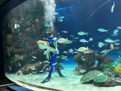 サンシャイン水族館に投稿された画像(2026/8/1)