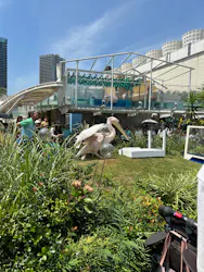 サンシャイン水族館に投稿された画像(2026/8/1)