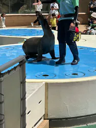 サンシャイン水族館に投稿された画像(2026/8/1)