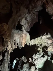 稲積水中鍾乳洞に投稿された画像(2026/8/1)